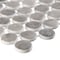 Andova Tiles SAMPLE-Muse 1 in. Glass Penny Round Mosaic Wall & Floor Tile SAM-ANDMUS914 - alternate 4
